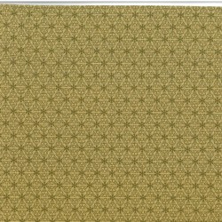 Tissu imprimé géométrique...